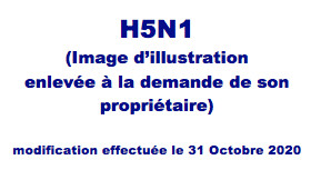 Le H5N1 toujours en embuscade... Le H5N1 toujours en embuscade...