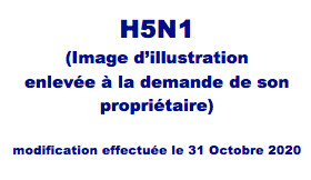 Le H5N1 toujours en embuscade...